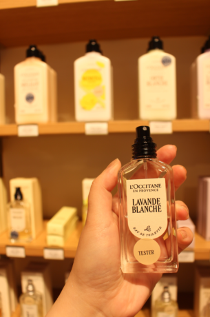 Lavande Blanche